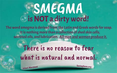 smegma define|Smegma: What it is and how to get rid of it .